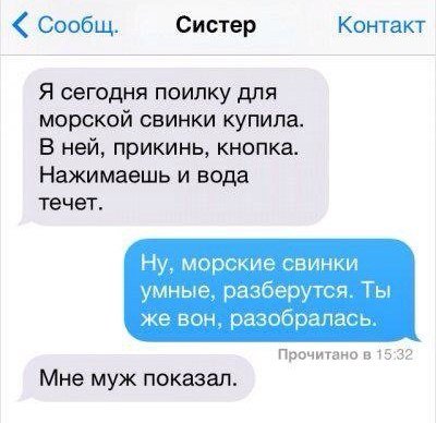 пкн.jpg