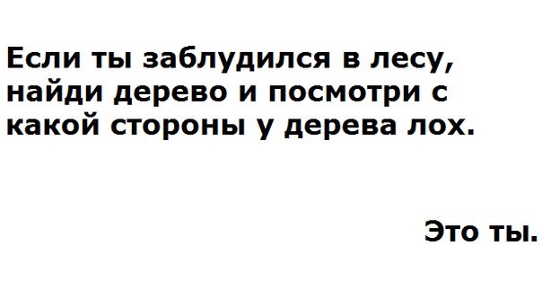 дло.jpg