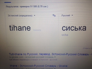 синица.JPG