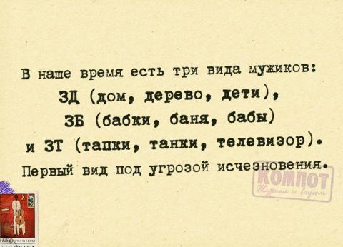 дбт.jpg