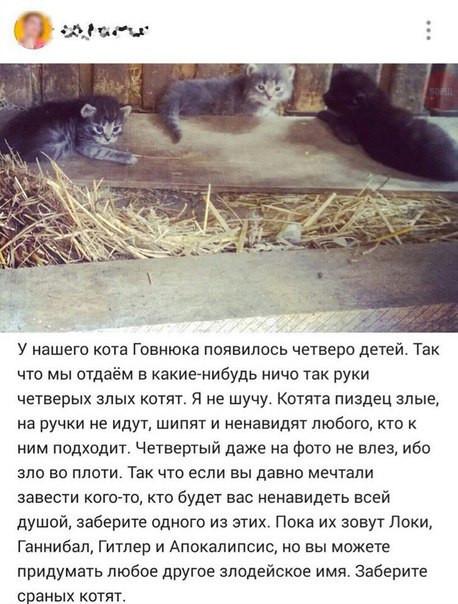 лгга.jpg
