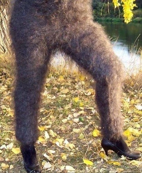 оло.jpg