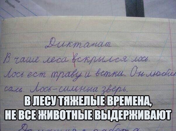 лось.jpg