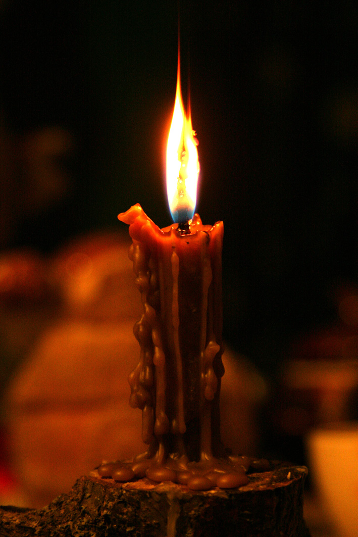 IMG_7848.jpg